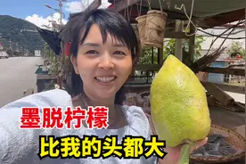 比头还大的柠檬，听说是墨脱三宝之一，15块钱买一个尝尝啥味道视频封面