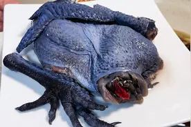 春天来一锅鹿茸菇乌鸡汤，补血养颜不发胖，女人常喝气色好，好喝