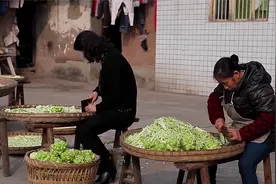 榨菜变成“金疙瘩”！涪陵乡亲靠着勤奋走出致富路视频封面