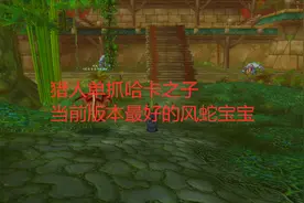 魔兽世界怀旧服猎人单抓哈卡之子，当前版本猎人最好的风蛇宝宝