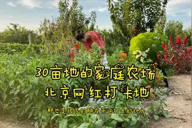 带你转转在北京30亩的家庭农场，有花、有菜、有果的网红打卡地视频封面