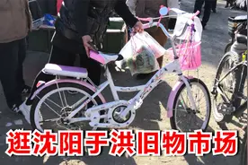 辽宁沈阳于洪旧物市场，小狗30元一条，粉色自行车50元一台，便宜视频封面