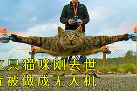 国外小哥将去世的猫咪做成无人机，独特的纪念引来争议！视频封面