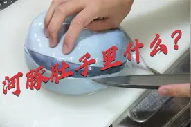 河豚鼓起的肚子装的是什么？男子用刀切开一看，结果却让人意外！视频封面