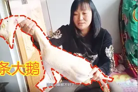 远嫁到山西的四川女人：农村家里现杀的9斤6两大鹅，手动拔毛视频封面