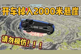 车祸模拟器：开车掉入2000米悬崖！还能生还吗？视频封面
