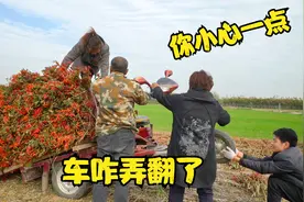 城里小伙第一次帮农村岳母干活，却把车都给压翻了，这该咋办呢视频封面