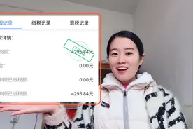 退税指南：这钱你不领吗？冰冰竟退4千个人所得税#我的学生生活#视频封面