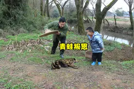 故事：小孩从猎人手里救下一只青蛙，青蛙报恩，送小孩一篮金元宝视频封面