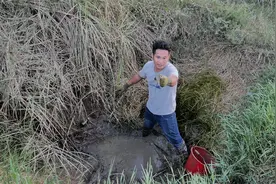 河道大部分都干枯，有些地方还有点水塘，舀水塘干了抓鱼真好玩视频封面
