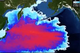太平洋沦为“日本下水道”！计算机模拟福岛核废水扩散全过程视频封面