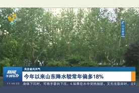 山东多地迎来降雨，菏泽东明出现大暴雨，全省降水较常年偏多18%视频封面