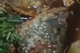 学生在河南焦作一高校食堂吃出带蛆鱼头：鱼冒着热气蛆仍蠕动视频封面
