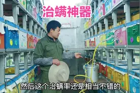 治蜂螨有诀窍，职业蜂农的治螨神器，速度快效果好，点赞不？