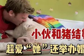外国小伙和猪结婚？！无微不至超爱“她”，还举办了盛大婚礼！视频封面
