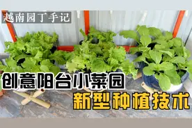用输液管制作懒人浇水神器，灌一次水用半个月,果然高手在民间！视频封面