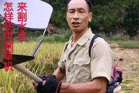 用割草机来割水稻，掌握好这六大技巧，你就可以轻松的割好水稻视频封面