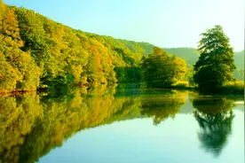 放松舒缓压力：赣水那边红一角，偏师借重黄公略。——毛泽东视频封面
