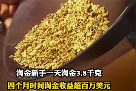 育空淘金客：淘金菜鸟一天淘3.8千克黄金，四个月收益超百万美元视频封面