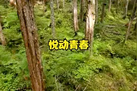 难以抗拒 - 李度&周华健视频封面
