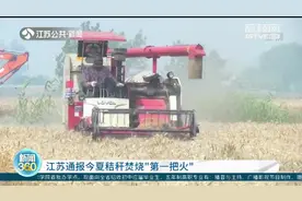 秸秆焚烧1万多亩！江苏通报今夏秸秆焚烧“第一把火”视频封面