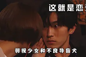 高甜日剧，弱视少女和不良导盲犬的生活，全程高能视频封面