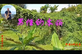 SAX男性的本领 为你提出男儿的本性  为你献出男儿的真情视频封面