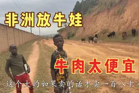 偶遇非洲放牛娃，靠卖牛奶营生收入也不错，一头牛才卖三四千元视频封面