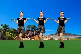 秋裤大叔《哥已不再是当年的哥》唱尽了生活的辛酸和无奈，听哭了视频封面