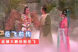 三妖被金翅明王打下了凡间，金翅明王也投胎到人间，成为了岳飞视频封面