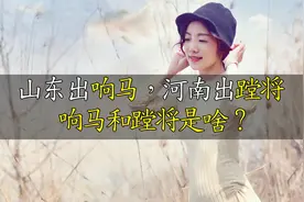 “山东出响马，河南出蹚将”，响马和蹚将，是什么？视频封面