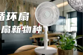 一年四季可用的电风扇！比普通电扇贵三倍，循环扇是不是智商税？视频封面