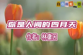 美文诵读：林徽因《你是人间的四月天》，四月春景的最美赞颂视频封面