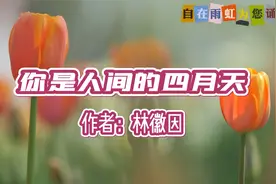 美文诵读：林徽因《你是人间的四月天》，四月春景的最美赞颂视频封面