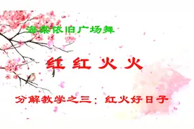 海棠依旧广场舞《红红火火》分解教学之三：红红火火的好日子