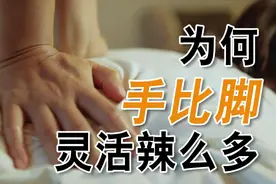 你知道吗？为什么手会比脚灵活那么多