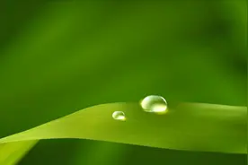 4-实战-使用Grafana美化mysql服务器监控数据