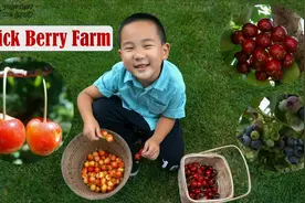 U Pick Berry Farm    美国农场采摘乐视频封面