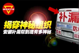 你一定见过他们，揭穿“神秘组织”安徽补漏帮，他们到底是干嘛的视频封面