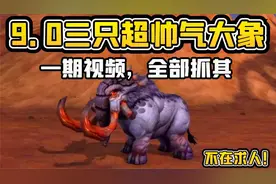 【老司机】9.0三只超帅气大象，一期视频，全部抓齐！视频封面