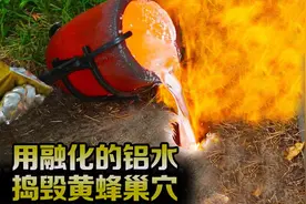 用高温铝液浇筑黄蜂巢穴，铝液凝固后，巢穴意外变成了艺术品？视频封面