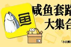 「小白」闲鱼避坑指南 套路大合集视频封面