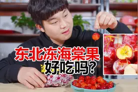 东北冻海棠果好吃吗？帅小伙花19.9买了两斤，酸甜可口还拔牙！视频封面