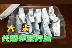 大米这样储藏无后顾之忧，2道密封隔绝空气，放很久都不坏视频封面