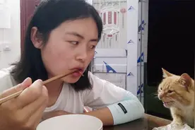 养猫和养狗的区别？猫是主子，狗是奴才，太真实视频封面