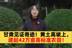 甘肃：山地里也能建高标准农田，42万亩沃土，造福百姓！视频封面