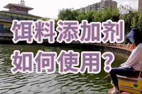 夜钓+饵料添加剂如何使用，干货视频分享。视频封面
