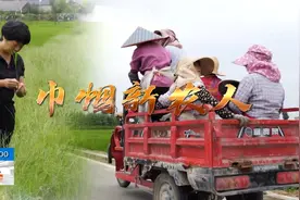 筑梦田间，乘风破浪的巾帼新农人，开着农机驰骋在希望的田野上视频封面