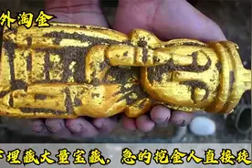 地下埋藏大量宝藏，急的挖金人直接徒手挖：这宝贝，手废了也值啊视频封面