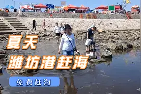 在潍坊港哪里还有个免费赶海的好地放视频封面